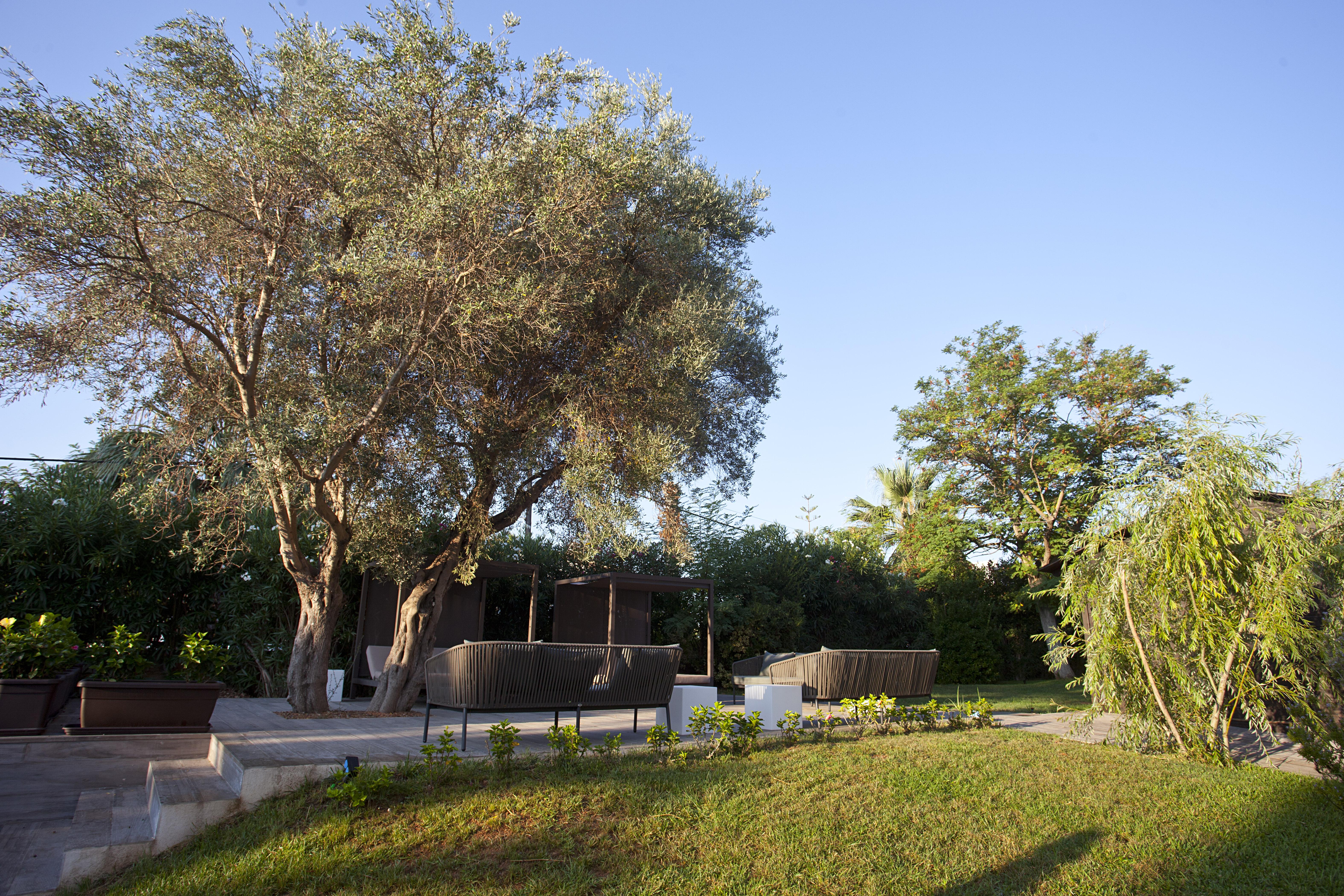 Hotel Bahia Pollensa Port de Pollenca Bagian luar foto